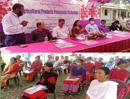 মধুপুরে আনারস ও পেয়ারা প্রক্রিয়াজাতকরণে উদ্বুদ্ধ করার জন্য প্রশিক্ষণ