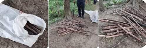 দশমিনায় সতন্ত্র প্রার্থীর বাড়ির সামনে নৌকা প্রার্থীর গণসংযোগ,(আতংকিত এলাকাবাসী)