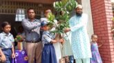 তেঁতুলিয়ায় সাইফুল প্রযুক্তি নার্সারীর পিতার মৃত্যু বার্ষিকী উপলক্ষে বিনামূল্যে গাছের চারা বিতরণ