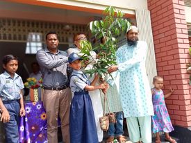 তেঁতুলিয়ায় সাইফুল প্রযুক্তি নার্সারীর পিতার মৃত্যু বার্ষিকী উপলক্ষে বিনামূল্যে গাছের চারা বিতরণ
