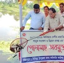 ফকিরহাটে প্রাকৃতিক জলাশয়ে দেশীয় মাছের পোনা অবমুক্ত