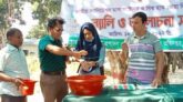 নবাবগঞ্জে বিশ্ব হাত ধোঁয়া দিবস পালন