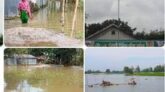 টেন্ডার ছাড়াই ইউনিয়ন পরিষদের পুকুর ভরাট,আইনকে বৃদ্ধাঙ্গুলী।