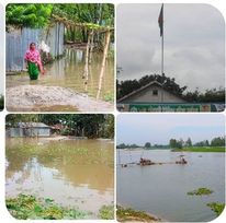 টেন্ডার ছাড়াই ইউনিয়ন পরিষদের পুকুর ভরাট,আইনকে বৃদ্ধাঙ্গুলী।