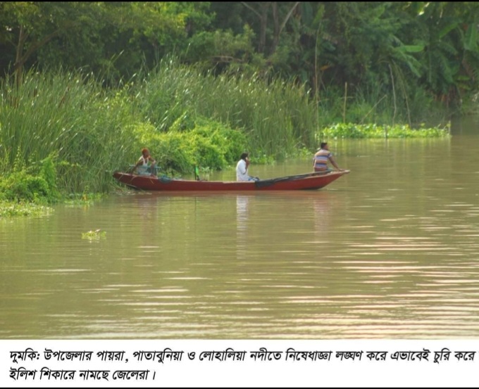 দুমকিতে অবরোধে চলছে মা-ইলিশ শিকারের মহাউৎসব