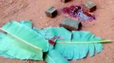 নলছিটিতে সড়ক দুর্ঘটনায় স্কুলছাত্রীর মর্মান্তিক মৃত্যু
