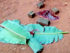 নলছিটিতে সড়ক দুর্ঘটনায় স্কুলছাত্রীর মর্মান্তিক মৃত্যু