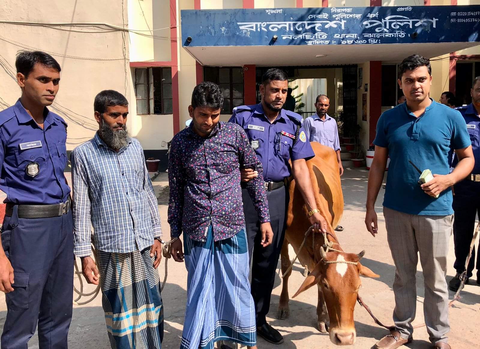 নলছিটিতে চোরাই গরুসহ আটক ২