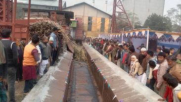 জয়পুরহাট চিনিকলে আনুষ্ঠানিকভাবে আখ মাড়াই শুরু