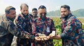 বেনাপোল সীমান্তে ৩ কেজি ৩৫০ গ্রাম স্বর্ণের বার উদ্ধার