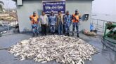 বরিশালে কোস্টগার্ডের অভিযানে ৮০০ কেজি জাটকা জব্দ