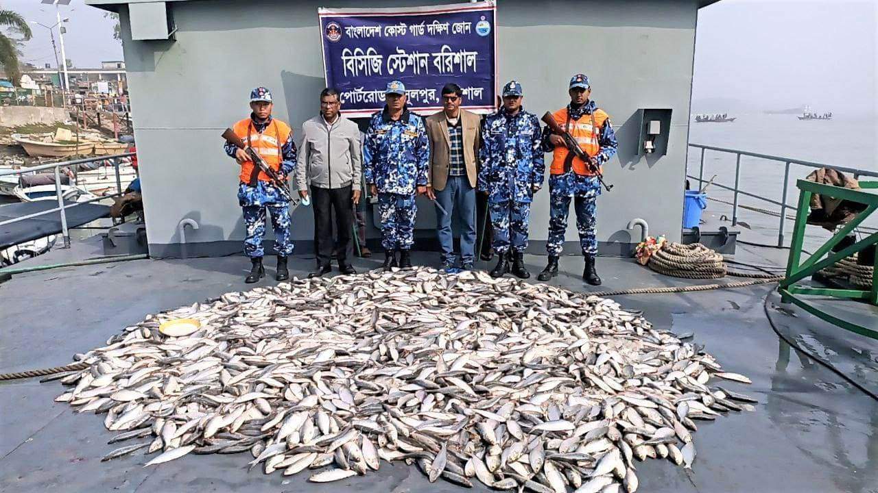 বরিশালে কোস্টগার্ডের অভিযানে ৮০০ কেজি জাটকা জব্দ