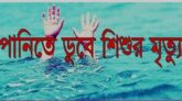 মামা বাড়ি বেড়াতে এসে প্রান গেলো শিশুর