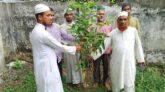 নলছিটিতে পালিত হল ইসলামী ছাত্র আন্দোলন বাংলাদেশের বৃক্ষ রোপন কর্মসূচি