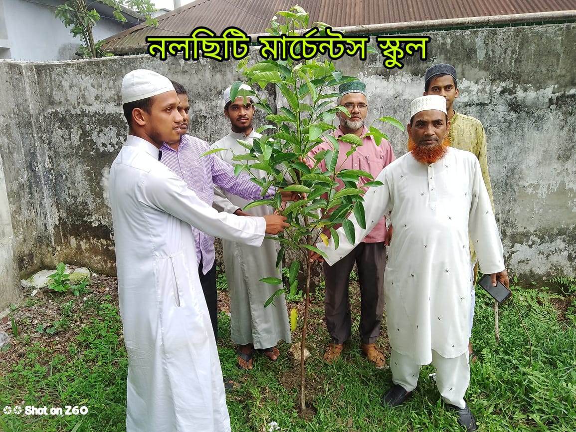 নলছিটিতে পালিত হল ইসলামী ছাত্র আন্দোলন বাংলাদেশের বৃক্ষ রোপন কর্মসূচি