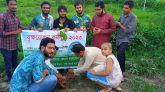 বেরোবিতে ইয়ুথ জার্নালিস্ট ফোরামের বৃক্ষরোপণ কর্মসূচি