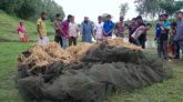 বদলগাঁছীতে মৎস্য অফিসারের অভিযানে অবৈধ চায়না রিং জাল ধ্বংস