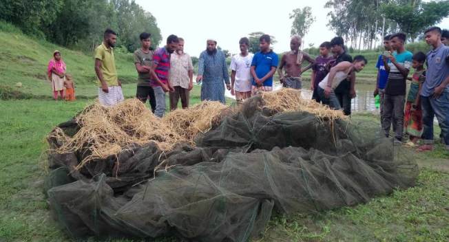 বদলগাঁছীতে মৎস্য অফিসারের অভিযানে অবৈধ চায়না রিং জাল ধ্বংস