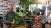 ঢাকাস্থ দুমকি উপজেলা জনকল্যান সমিতি’র উদ্দ্যেগে গাছ বিতরন