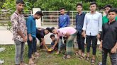 নলছিটিতে বজ্রপাত থেকে রক্ষায় রাইডার্স ক্লাবের তালের বীজ রোপন