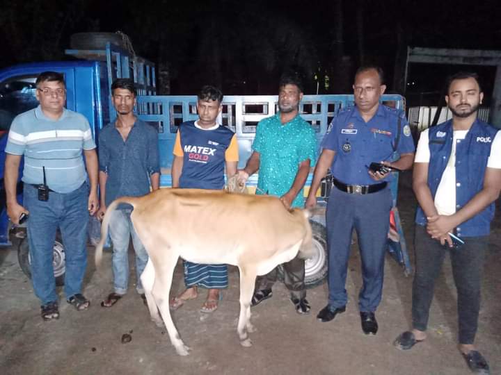 নলছিটি থানা পুলিশের অভিযানে গরু চোর চক্রের দুই সদস্য আটক