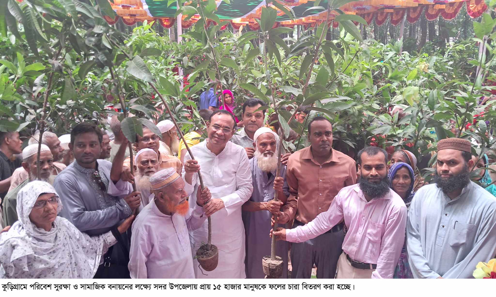 কুড়িগ্রামে বিতরণ করা হচ্ছে ১৫ হাজার ফলের চারা