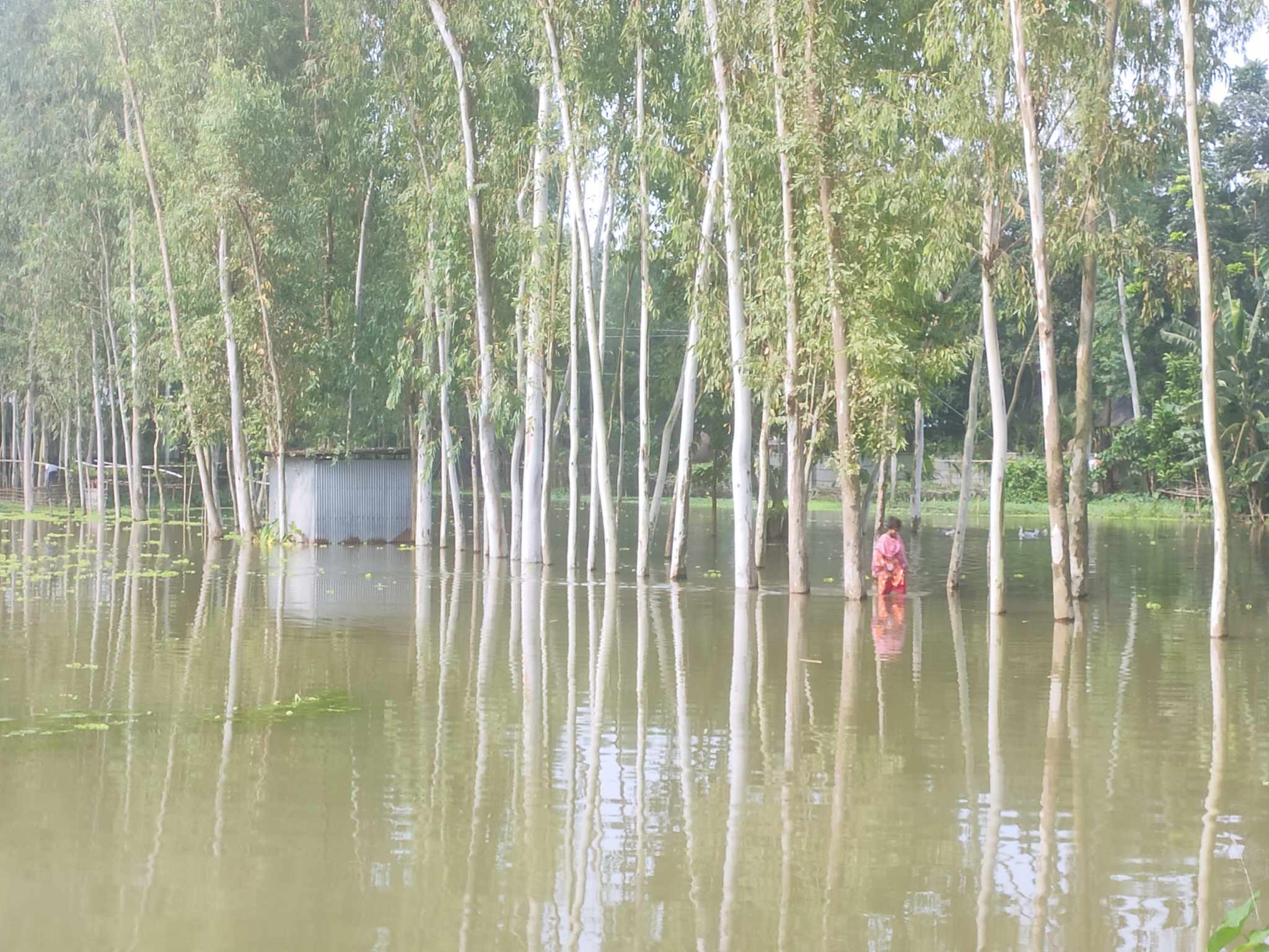 কুড়িগ্রামে বন্যা পরিস্থিতি উন্নতি, দূর্ভোগ কাটেনি