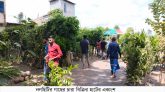 নলছিটিতে গাছের চারা বিক্রির ধুম চলছে