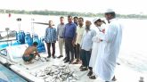 সুগন্ধা ও বিষখালীতে অভিযানে ৪০ হাজার মিটার জাল ৪৩ কেজি ইলিশ মাছ জব্দ