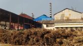 লালপুরে উদ্বোধনের ৫ ঘন্টা পর নর্থ বেঙ্গল সুগার মিলের আখ মাড়াই বন্ধ