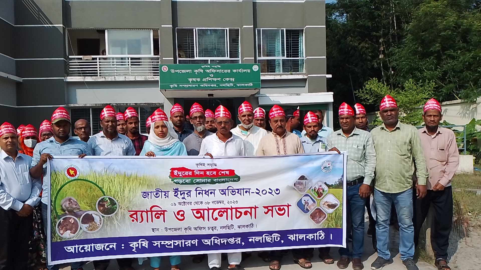 নলছিটিতে জাতীয় ইঁদুর নিধন অভিযান পালিত হয়েছে