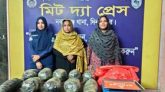 নবাবগঞ্জে ১০কেজি গাঁজাসহ এক নারী আটক
