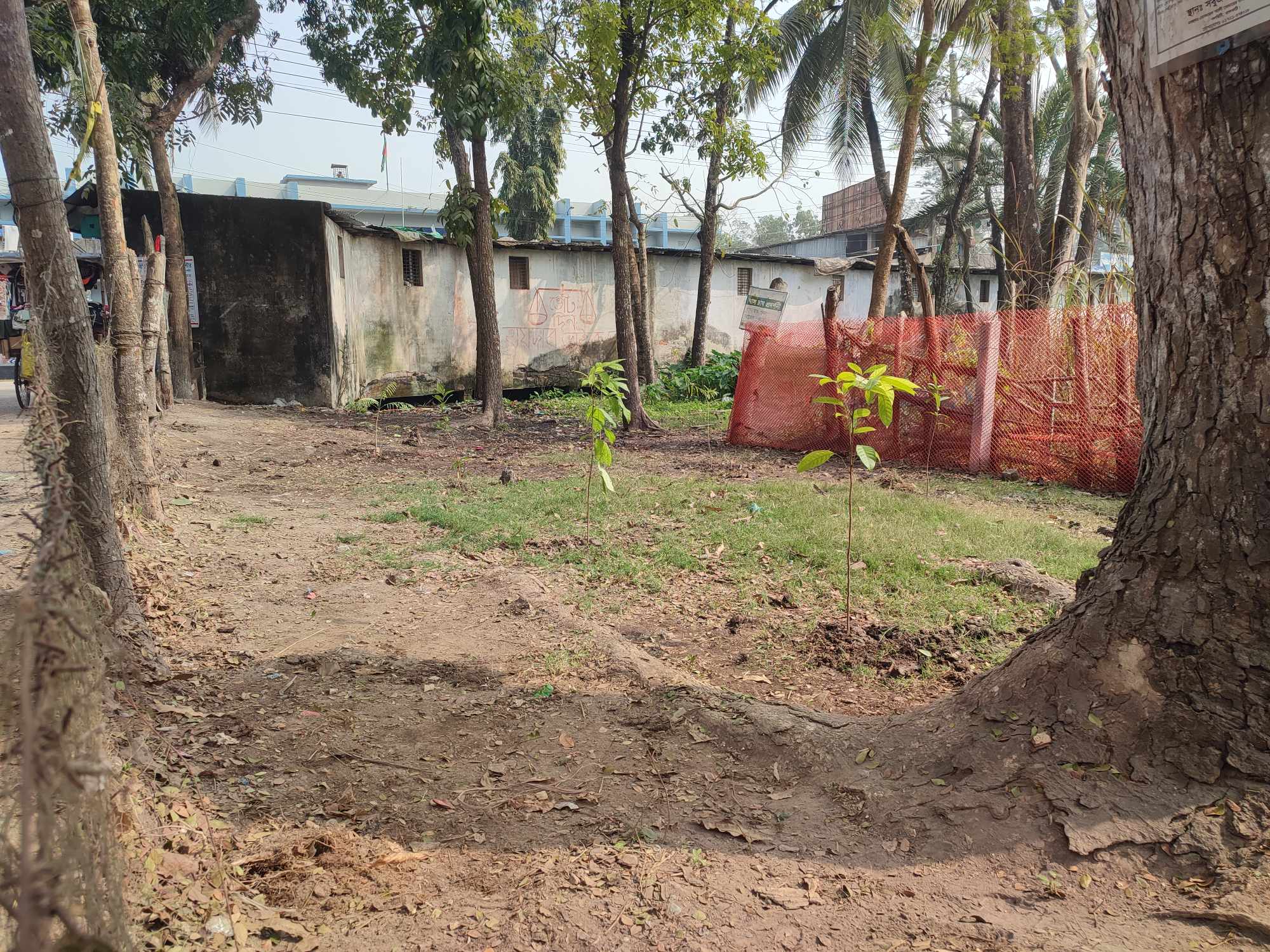 ময়লা ভাগাড় কে ফল ও ঔষধি গাছের বাগান করলো বিডি ক্লিন নলছিটি