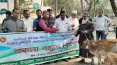 নলছিটিতে জেলেদের মাঝে বকনা বাছুর বিতরন