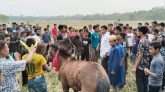 ঝালকাঠিতে দেড়শ বছর ধরে চলে আসছে লালমদ্দি ফকিরের ঘোড়ার দৌড় প্রতিযোগিতা