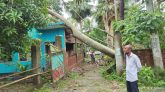 ঘূর্ণিঝড় রেমালের প্রভাবে নলছিটিতে ব্যাপক ক্ষয়ক্ষতি আহত- ১