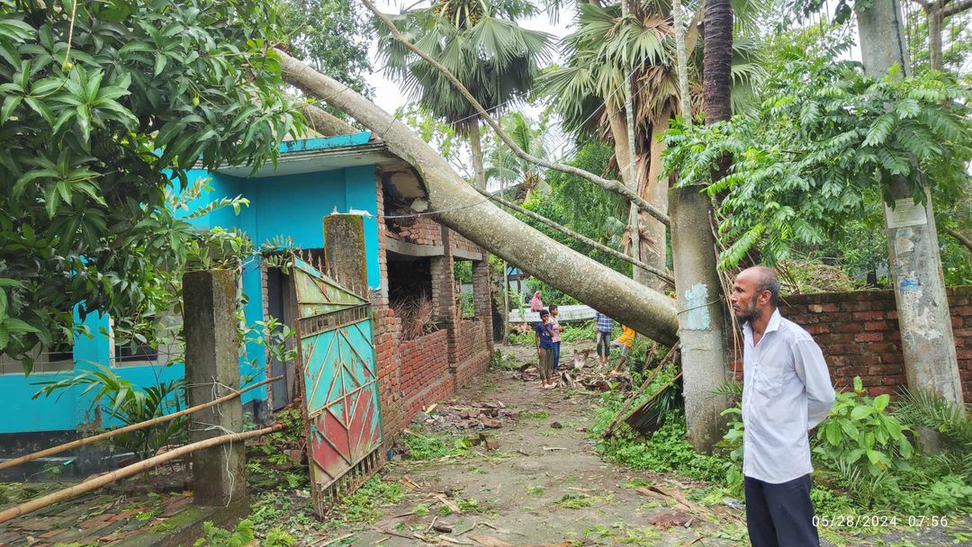 ঘূর্ণিঝড় রেমালের প্রভাবে নলছিটিতে ব্যাপক ক্ষয়ক্ষতি আহত- ১