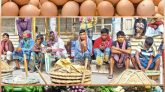 নলছিটিতে ডিমের হালি আবারও ৫০