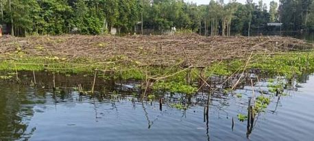 কুড়িগ্রামে দ্বিতীয় দফায় দীর্ঘ স্থায়ী বন্যায় কৃষিতে ক্ষতি ১০৫ কোটি টাকা।