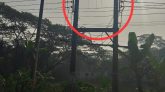 নলছিটিতে ওজোপাডিকোর ট্রান্সফরমার চুরি