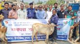 নলছিটিতে জেলেদের মাঝে বকনা বাছুর বিতরন