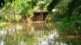 দুমকিতে দুু’টি স্লুইসগেটই কৃষকের গলার কাটা