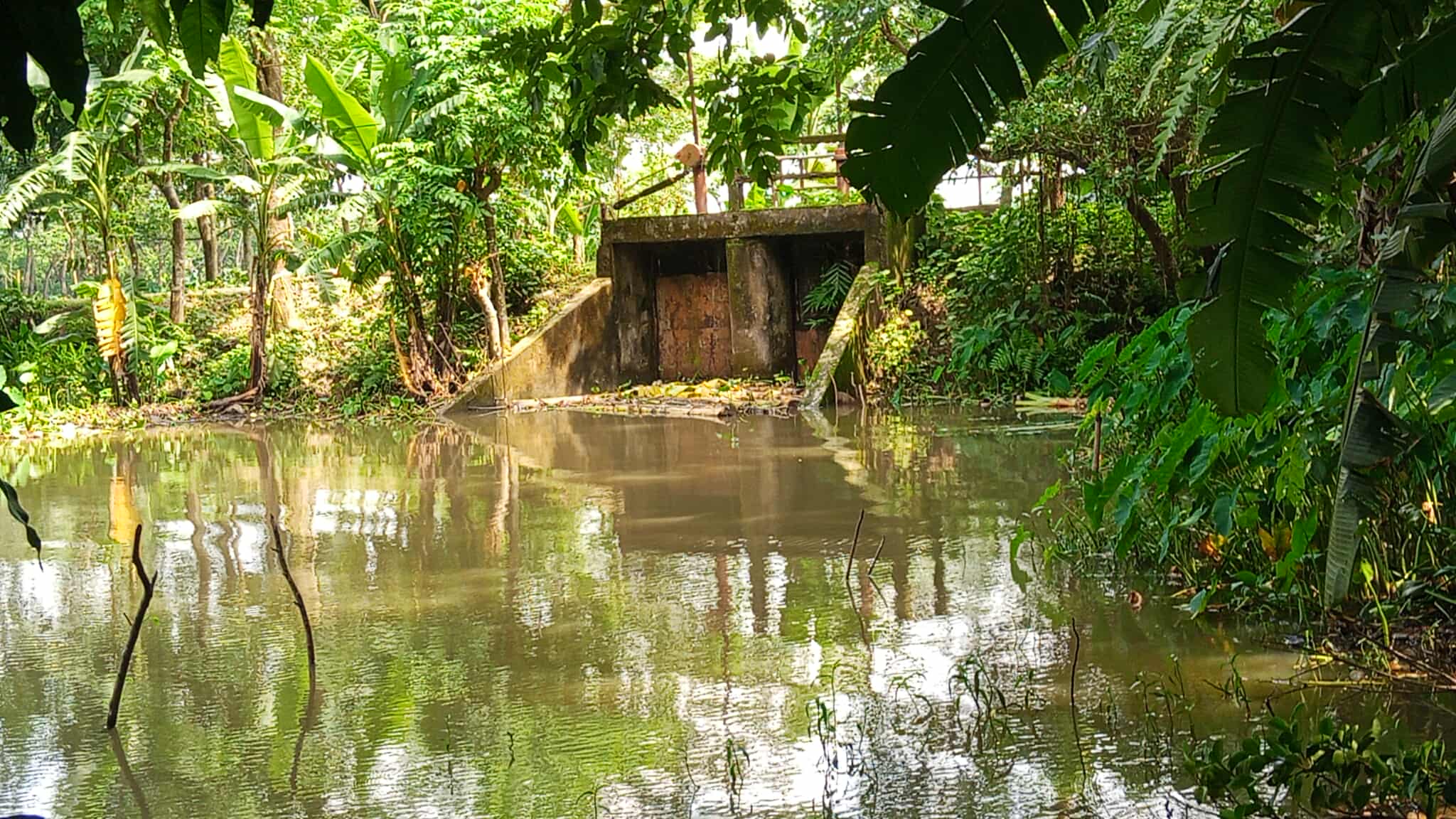 দুমকিতে দুু’টি স্লুইসগেটই কৃষকের গলার কাটা