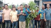 সারা দেশের সাথে একযোগে মেহেন্দিগঞ্জে কৃষকদলের বৃক্ষরোপণ কর্মসূচি